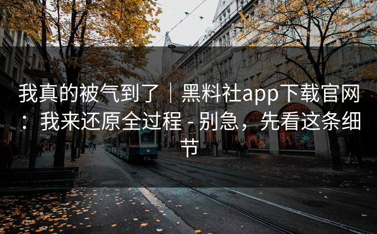 我真的被气到了｜黑料社app下载官网：我来还原全过程 - 别急，先看这条细节