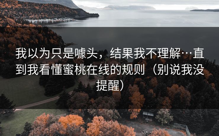 我以为只是噱头，结果我不理解…直到我看懂蜜桃在线的规则（别说我没提醒）